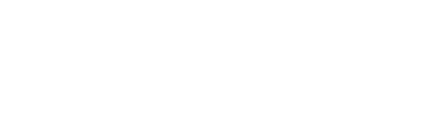 Lee Spring - leespring.co.uk